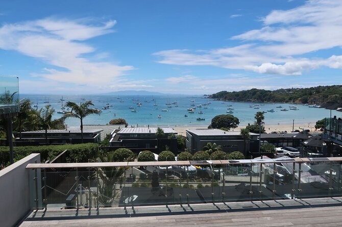 1.5h Waiheke Guided Scenic Tour in our Electric Van - Electric van + private guide: the value you feel right away