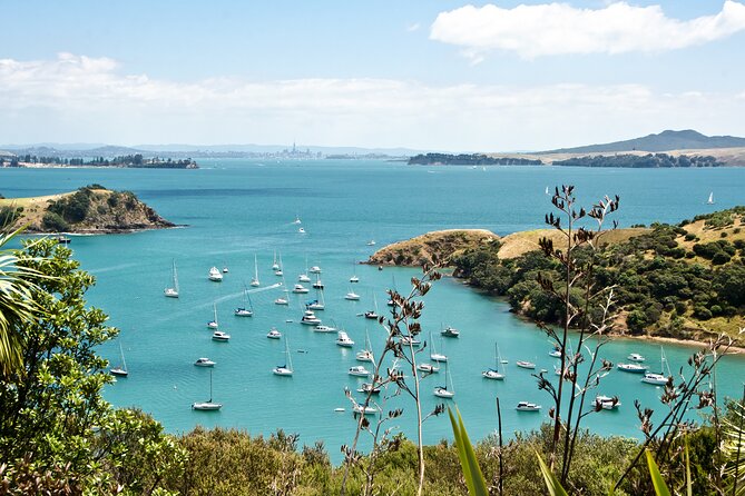 1.5h Waiheke Guided Scenic Tour in our Electric Van - Omiha Road and the sacred eel area: a short stop with meaning