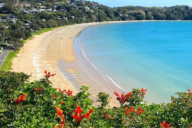 1.5h Waiheke Guided Scenic Tour in our Electric Van - Oneroa Beach: Ocean View Road views plus a quick sand stroll