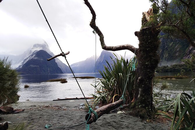 10 Day North to South Island NZ Private Tour from Auckland - Te Puia and Redwoods Treewalk: culture plus nature in Rotorua