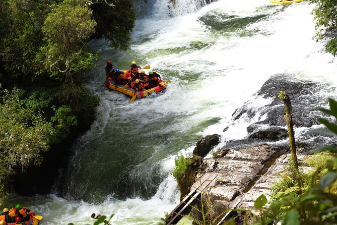 10 Day North to South Island NZ Private Tour from Auckland - The included flight to Christchurch: why it saves your South Island days