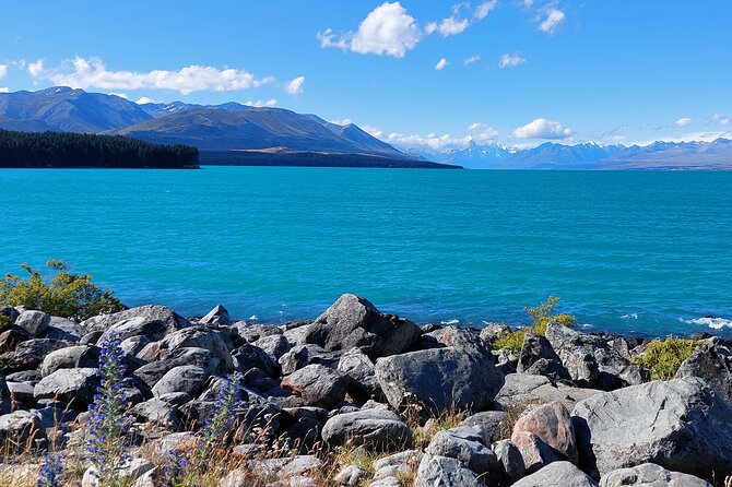 12 Day New Zealand Private Tour from Auckland to Queenstown - How the add-on options change the trip value
