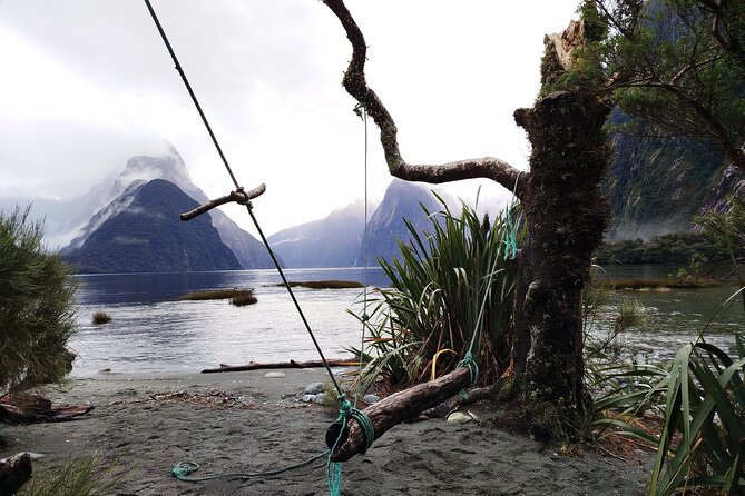 12 Day New Zealand Private Tour from Auckland to Queenstown - Christchurch to the coast: Kaikōura and Akaroa without the hassle