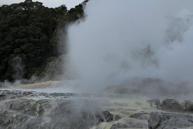 2-Day Hobbiton, Rotorua, Waitomo Caves Tour from Auckland with Accommodation - What kind of traveler should choose this one
