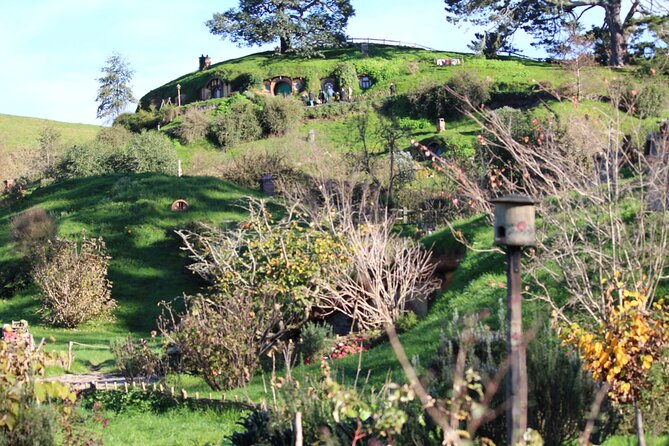 2-Day Hobbiton, Rotorua, Waitomo Caves Tour from Auckland with Accommodation - The morning run to Hobbiton Movie Set: worth the early wake-up