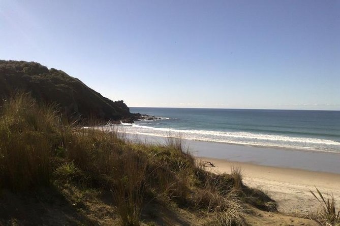 2 Hour Surf Lesson - Te Arai Beach - Te Arai Beach: a smart choice for your first surf basics