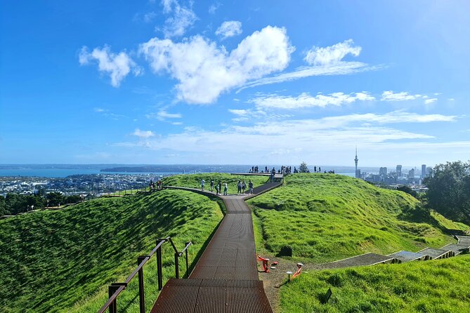 2025 Award Winning: Auckland City Highlights Half Day Tour - Price and time: does $99.29 feel fair?