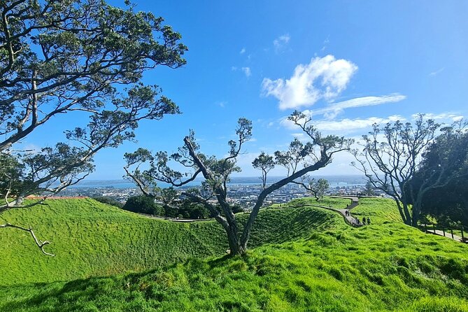 2025 Award Winning: Auckland City Highlights Half Day Tour - The guide is the difference: names you might meet and what they do well