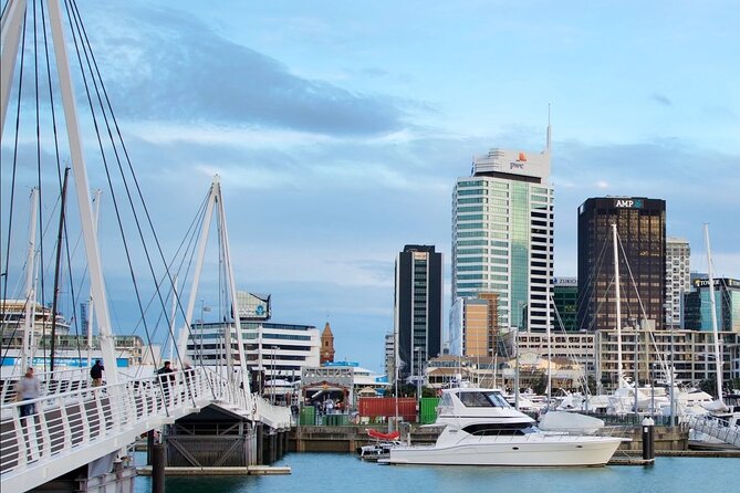 3.5 hour Sunset Tour on Waiheke Island - Group Size, Guides, and the Real “Feel” of the Tour