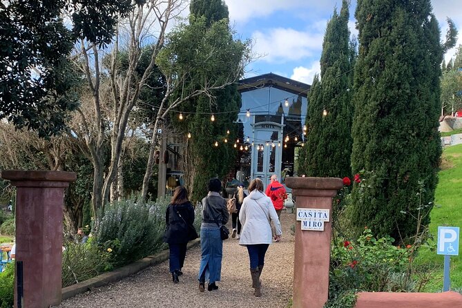 3.5 hour Sunset Tour on Waiheke Island - What to Do Before You Go: Simple Planning That Improves the Evening