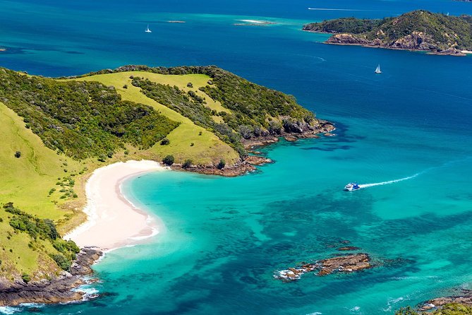3-Day Bay of Islands Tour from Auckland - Getting From Auckland to Paihia: 6:30 a.m. Is the Price of Admission