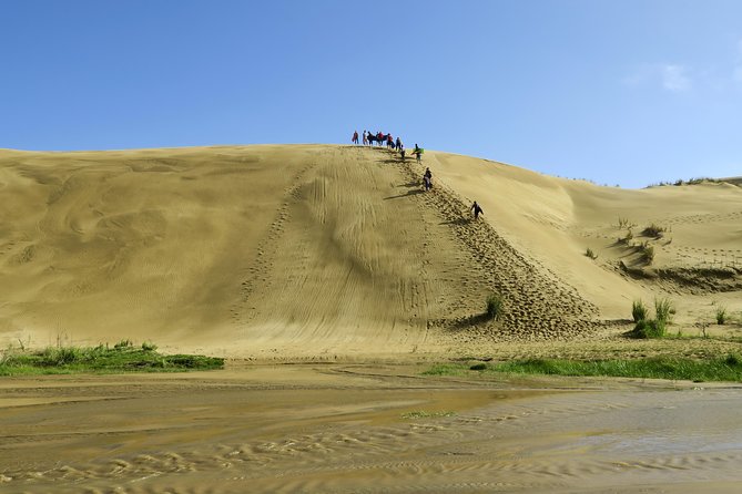 3 Day Bay Of Islands Tour from Auckland including Waitangi and Cape Reinga - Cape Reinga and Ninety Mile Beach: The Day That Tests Your Legs