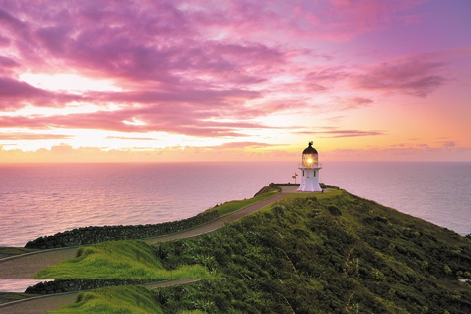 3 Day Bay Of Islands Tour from Auckland including Waitangi and Cape Reinga - Auckland to Paihia: Early Start, Harbour Views, and the Long-Wheel Problem