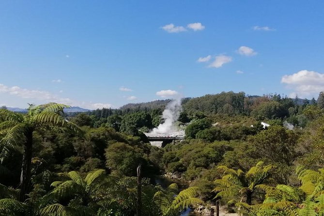 4-Day Auckland to Wellington via Rotorua Tour - Entering the North Island Funnel: Waitomo and Hobbiton on Day 1