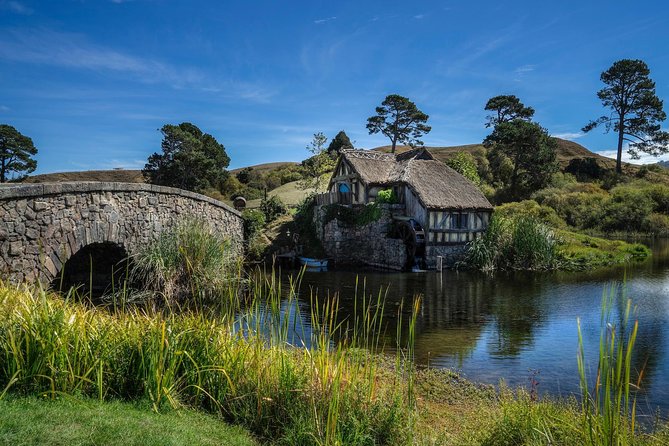 4-Day Auckland to Wellington via Rotorua Tour - Wellington morning city sights: finishing in the capital the right way