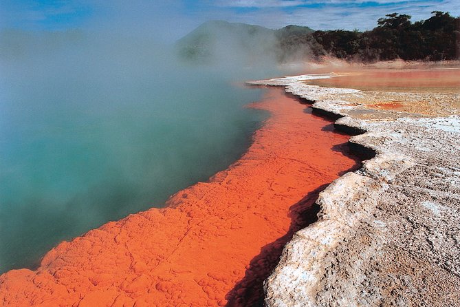 4-Day Auckland to Wellington via Rotorua Tour - Price and value: what you’re really paying for