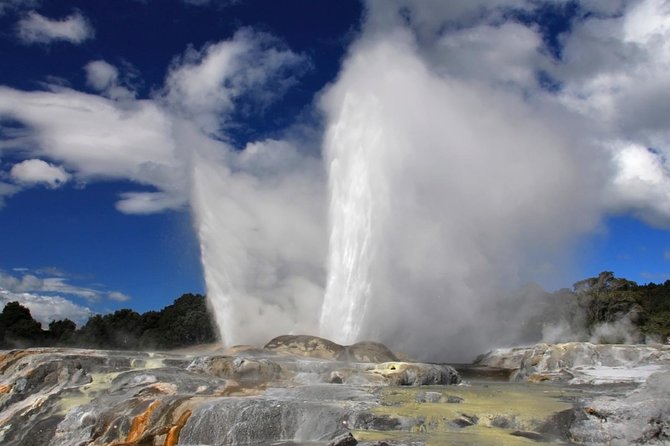 4-Day Auckland to Wellington via Rotorua Tour - Who should book this tour, and who should skip it