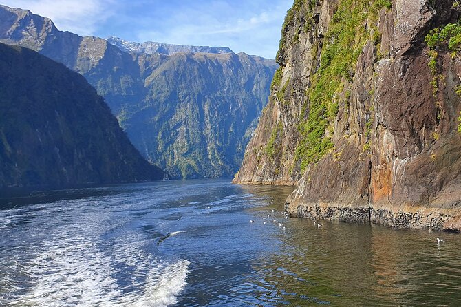 4 Day Tour to Milford Sound, Mount Cook & More from Auckland - Lake Tekapo at night: Dark Sky stargazing that actually matters