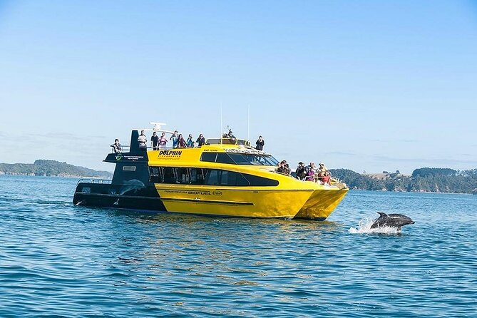 5-Day Bay of Islands, Auckland, Hobbiton, Rotorua & Waitomo Tour - Key Points You’ll Care About on This Tour