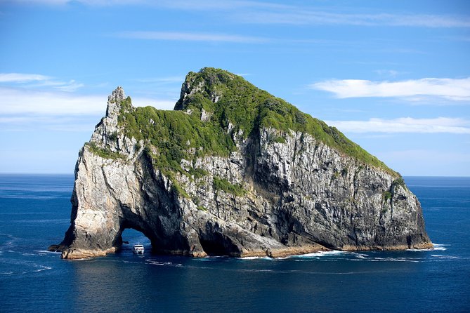 5-Day Bay of Islands, Auckland, Hobbiton, Rotorua & Waitomo Tour - Hotel Bases That Make the Whole Loop Feel Less Stressful