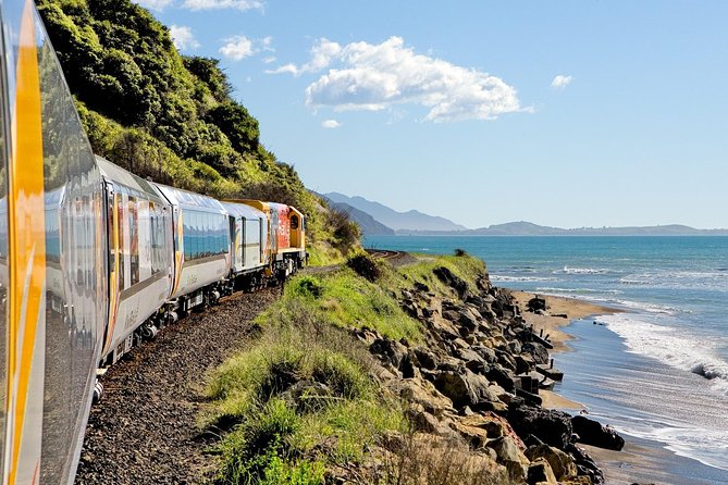 5-Day New Zealand North and South Island Highlights Tour - Group Size, Pace, and the Reality of Long Travel Days