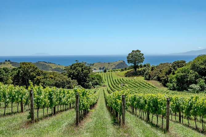 5 or 7 hour Far End of Waiheke Scenic Wine Tour in Electric Vans - Getting started at Matiatia and the Oneroa Beach first impression