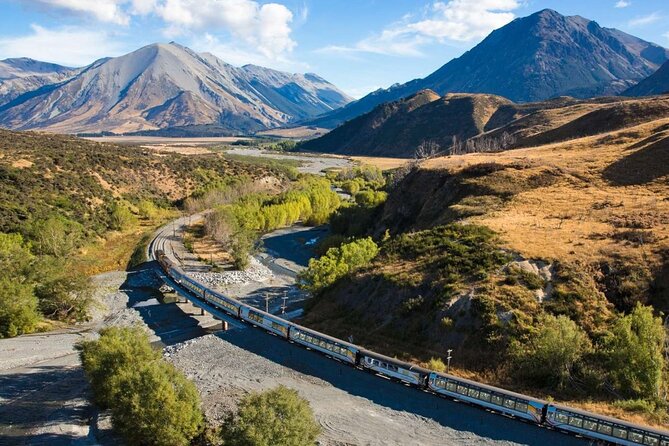 6 Day South Island New Zealand Private Tour from Auckland - Day 4: Queenstown Gardens, Skyline Gondola, and taking on the fun level