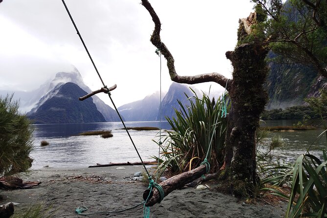 6 Day South Island New Zealand Private Tour from Auckland - Day 6: Te Anau glowworms and a final Queenstown wildlife or hot soak choice