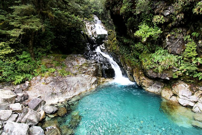 6 Day South Island New Zealand Private Tour from Auckland - How the price adds up (and what you need to check first)