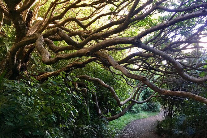 6 Hours Sightseeing Tour in Auckland - Key highlights worth getting excited about
