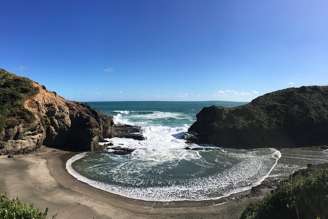 6 Hours Sightseeing Tour in Auckland - Why this West Auckland loop feels like the right use of a short visit