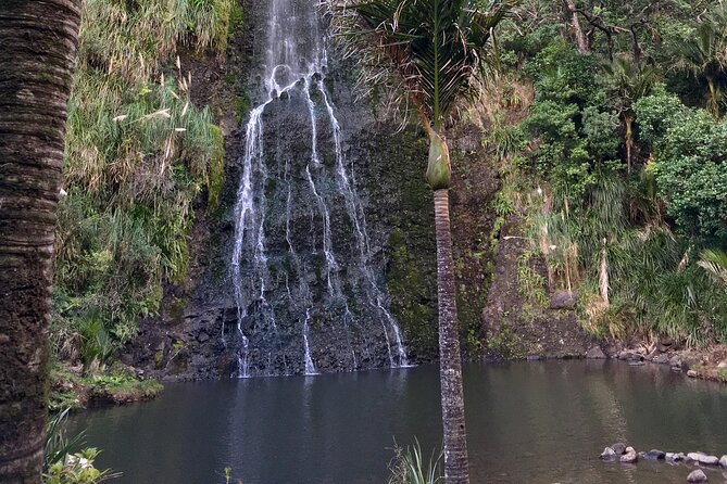 6 Hours Sightseeing Tour in Auckland - Karekare Falls: a short hike that breaks up the coast