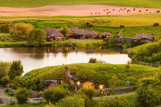 6 Hours Sightseeing Tour in Auckland - Soljans Estate Winery and the included tasting: what lunch really means here