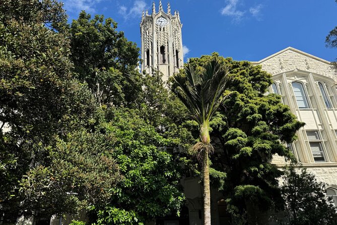 A Self-Guided Walking Tour of Auckland's Hidden Stories - Price and value: why $11.99 can be a win (and when it isn’t)