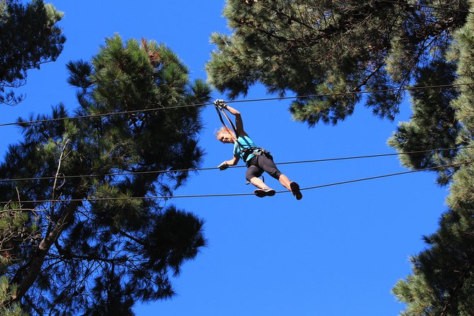 Adrenalin Forest Auckland - Key highlights you’ll care about