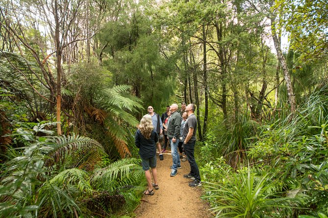 Afternoon Piha Beach and Rainforest Tour from Auckland - Tips to Make the Day Go Smoothly