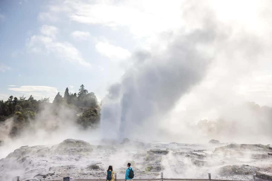 AKL: Te Puia Maori Haka, Kiwi Birds, Redwood & Blue Springs - How the Auckland-to-Rotorua timing really feels