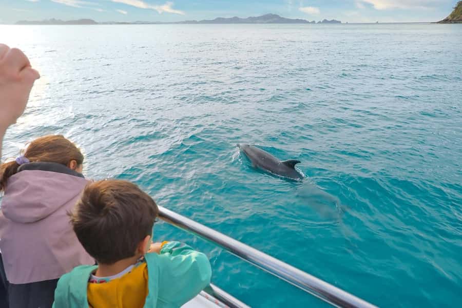 Auckland: 2-Day Bay of Islands Small Group Tour with Cruise - Price and what you’re really getting for $435