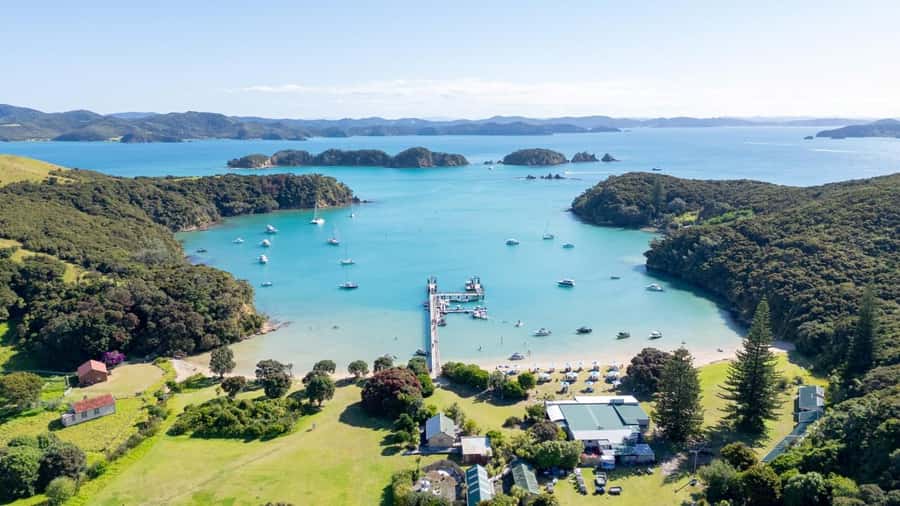 Auckland: 2-Day Bay of Islands Small Group Tour with Cruise - What makes this Bay of Islands tour feel personal in a Sprinter