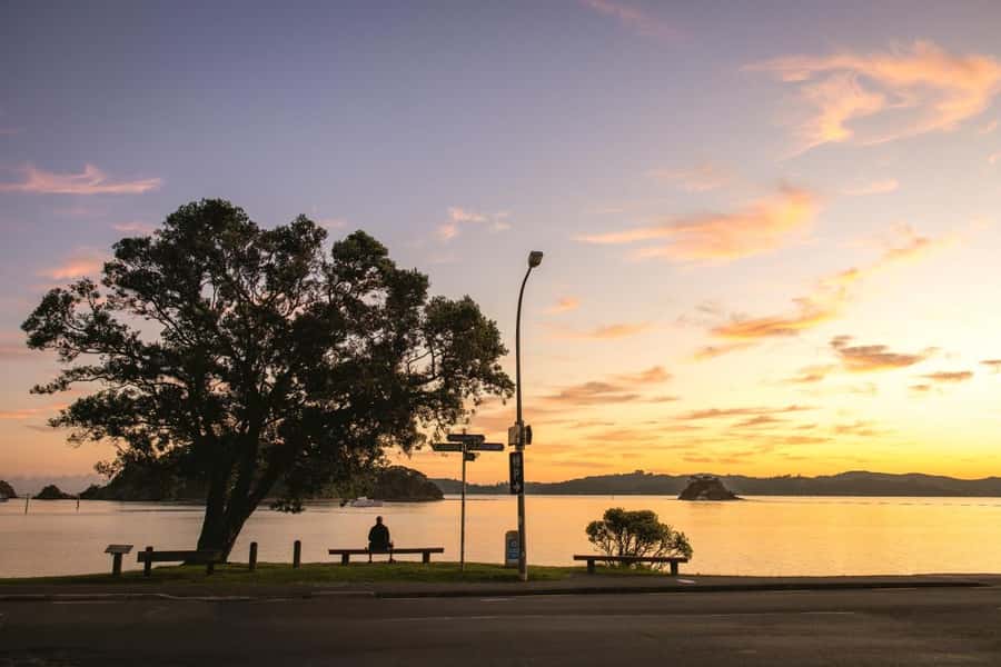 Auckland: 2-Day Bay of Islands Small Group Tour with Cruise - Day 1: Harbour Bridge, Kauri Museum, and Tāne Mahuta’s forest