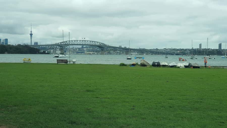 Auckland: Auckland City Tour 4 hours private - Key highlights worth your attention
