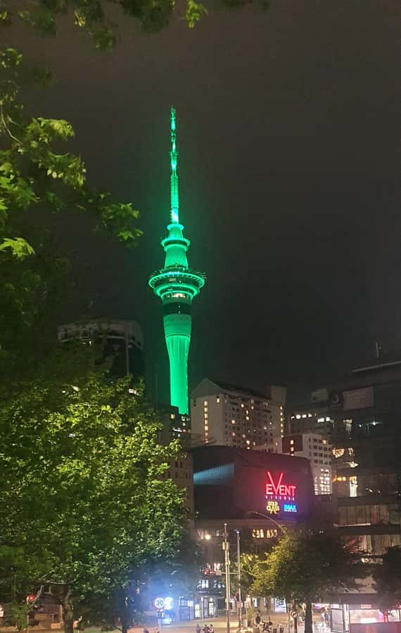 Auckland: Auckland City Tour 4 hours private - Why a 4-hour private Auckland loop works
