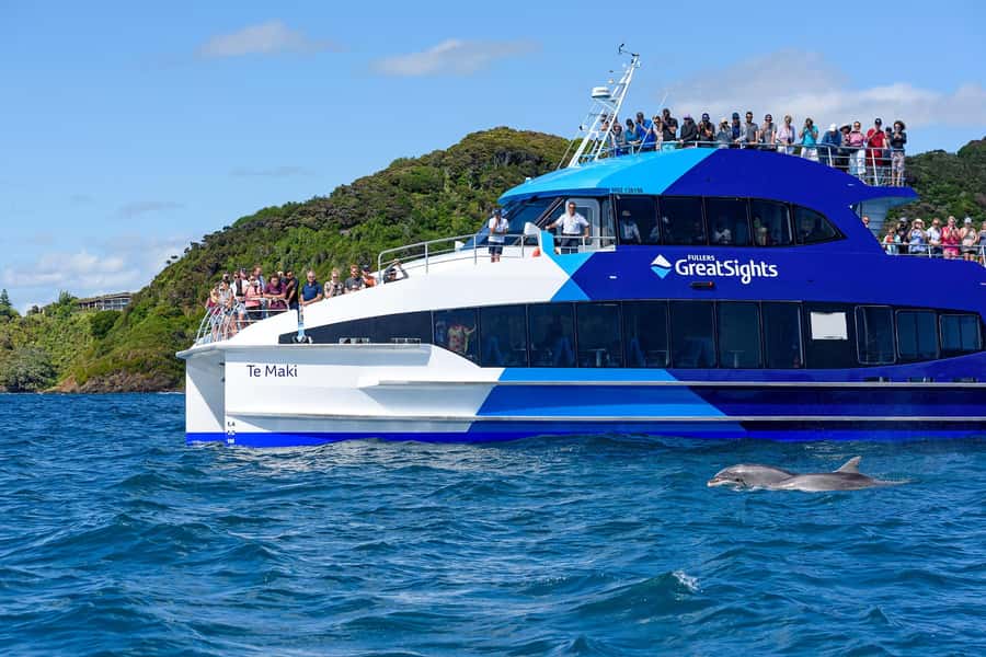 Auckland: Bay of Islands Day Tour with Dolphin Cruise - What the guide does on a 13-hour day (and why it helps)