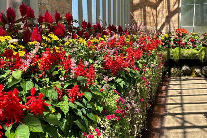 Auckland Best Top 5 Spots Half day Tour - Your Guide, Your Pace, and Those Handy Photo Stops