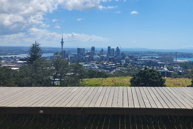 Auckland Best Top 5 Spots Half day Tour - Price and What You Actually Get at $117.91