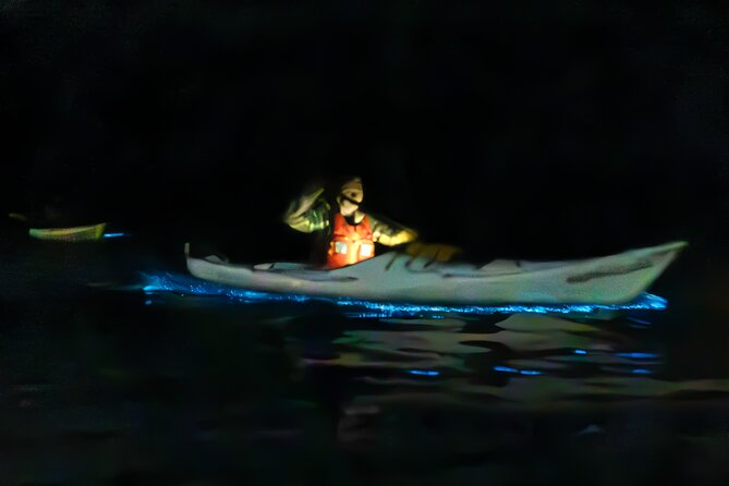 Auckland Bioluminescence Kayak Tour - Key Highlights Worth Noting