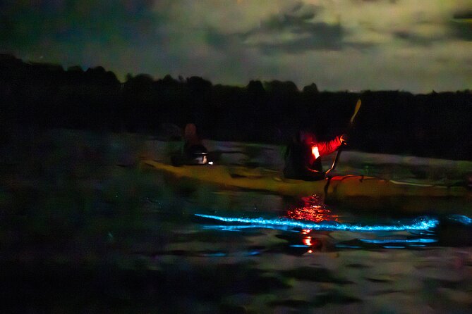 Auckland Bioluminescence Kayak Tour - Photos in the Dark: How to Capture the Blue-Wake Effect