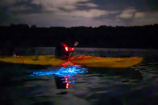 Auckland Bioluminescence Kayak Tour - Transportation and Getting There Without Drama