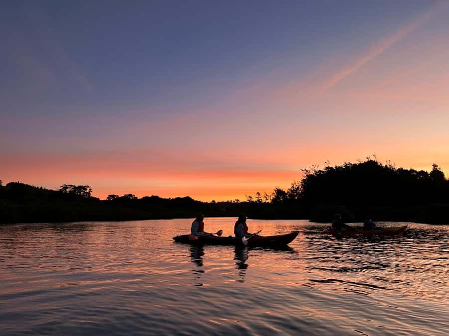 Auckland: Bioluminescence Kayak Tour with Guide - Key Things That Make This Tour Worth Your Time