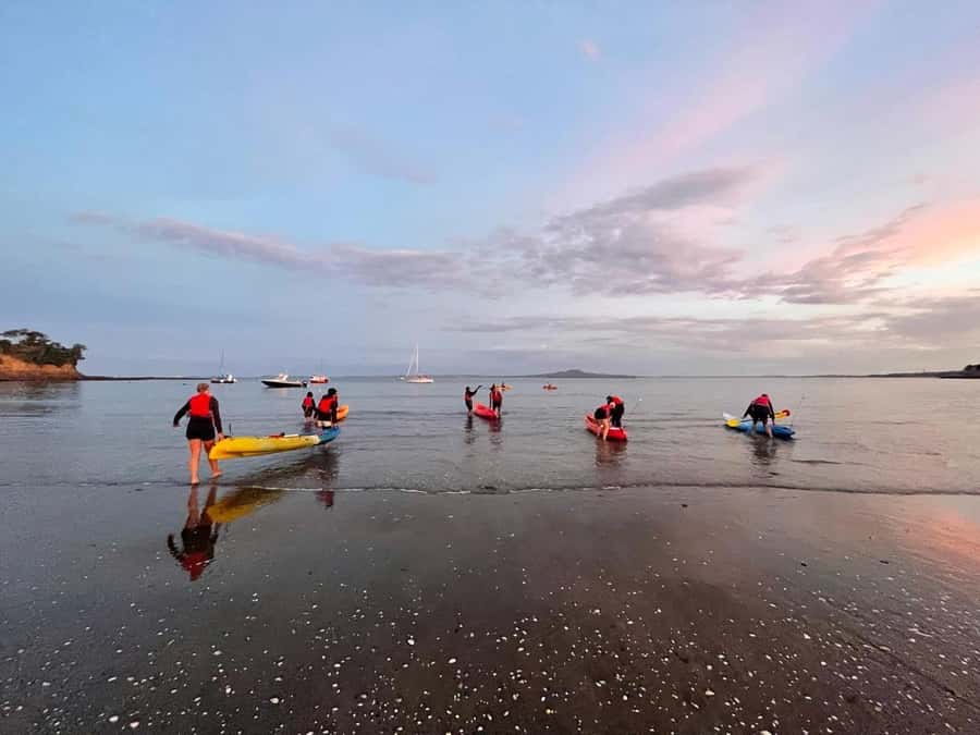 Auckland: Bioluminescence Kayak Tour with Guide - When Conditions Change: How They Pick the Launch Location